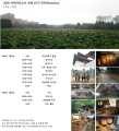 2025년 10월 5일 (일) 17:21 판의 섬네일