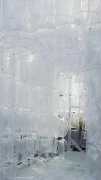 파일:Snipaste 2025-09-25 11-49-45.jpg