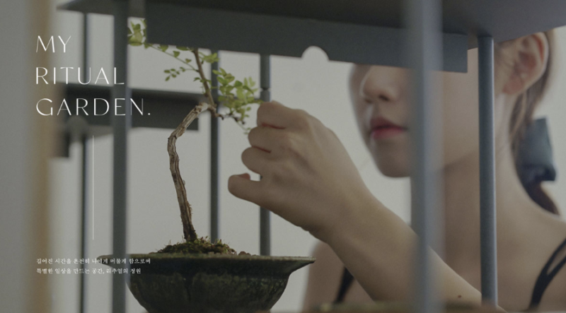 파일:Imagecvcvcv.png